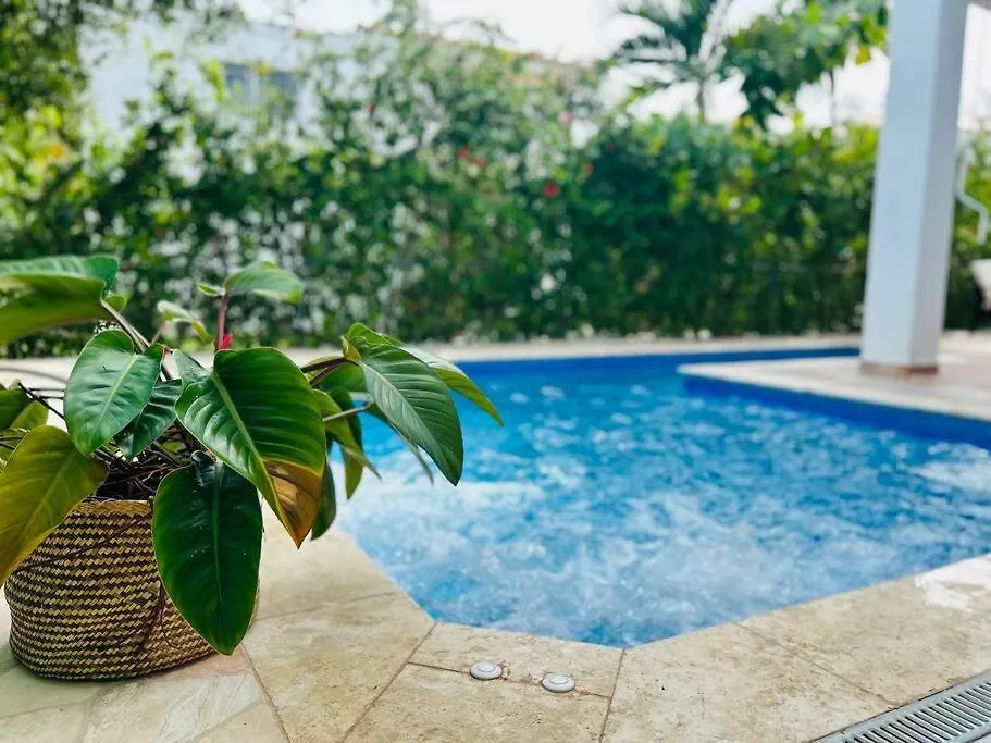 Villa Elisa 4Br With Pool Jacuzzi & Bbq Punta Cana